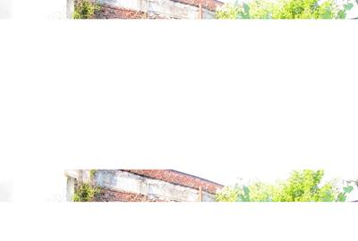 Casă cu 4 camere cu Teren 720 Mp în Gurahonț - 3