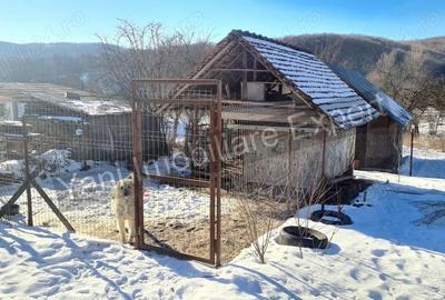 Casa + spa?iu comercial + lac de pe?te, de vanzare ( Verne?ti Arges ) - 17