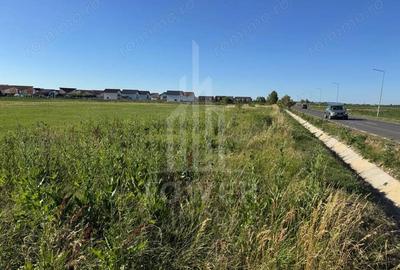 Teren 2500mp Sura Mica - Ocna Sibiului | 162.500 EUR - EXCLUSIVITATE - 1