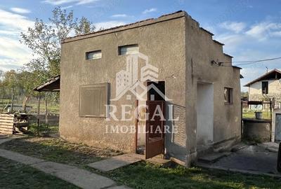 Casa spa?ioasa de vanzare in Ru?i pentru locuin?a sau investitie - 1