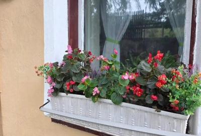 Teren 6762 mp +casa Les - 2