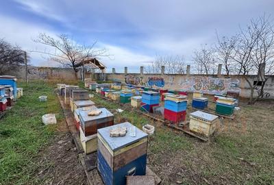 Teren intravilan Poarta 6 | 465 mp | Utilitati | Vedere port - 2