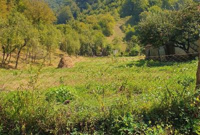 Casă cu 3 camere în Lugoj - 1