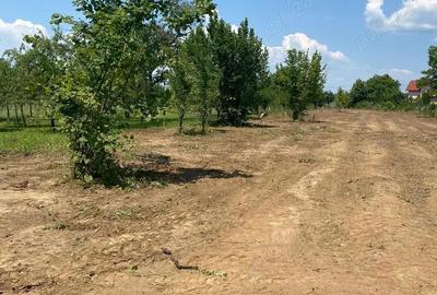 Teren de 2018 mp, în Central - 4