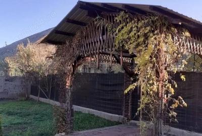 Vand casa Pecica - 8