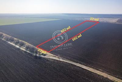 Oportunitate de investitie, teren intravilan in Tamasi-Corbeanca, 22 Euro/mp - 2