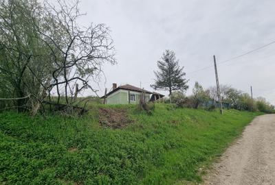 Casă cu 2 camere în Goiești - 2