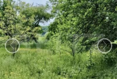 Casa cu 3 camere bucatarie si Baie 70 mp ?i teren de 1300mp - 2