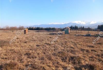 Teren intravilan 7900 mp de vanzare pe Valea Avrigului - 3