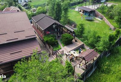 Casă cu 6 camere cu Teren 2700 Mp în Golești - 1