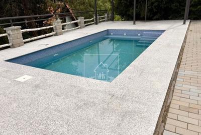 Casă de vacanța / Vilă în Păltiniș cu piscina acoperită și încălzită - 18