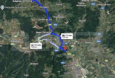 Teren intravilan de vanzare, 2962 mp, zona Sulighete, Deva - 4