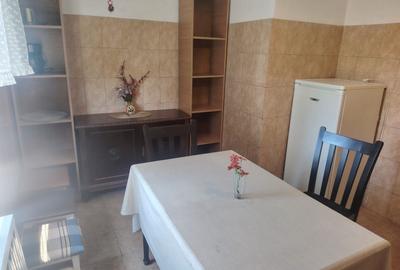 Apartament cu 2 camere decomandat în Dristor - 11