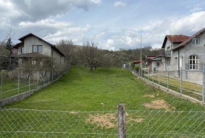 Teren de 9140 mp, în Aninoasa