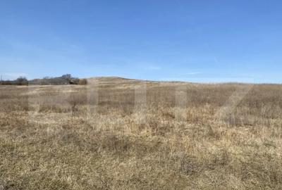 Teren de 140551 mp, în Recea - 10