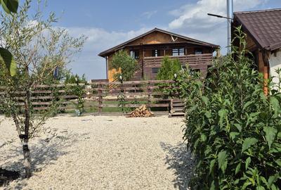 Casă cu 4 camere cu Teren 28000 Mp în Baba Ana - 8
