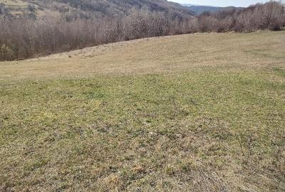 Teren de 4200 mp, în Bucea - 3