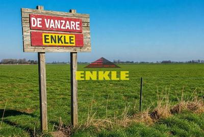 Teren Construcții intravilan de 3100 mp, în Zăicești - 1