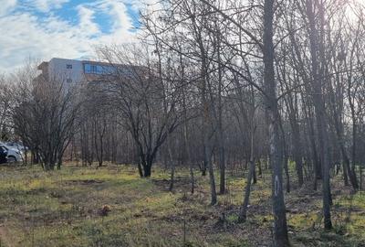 Teren Construcții intravilan de 3300 mp, în Prelungirea Ghencea - 3