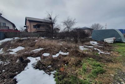 Teren Construcții intravilan de 1000 mp, în Cernica - 1