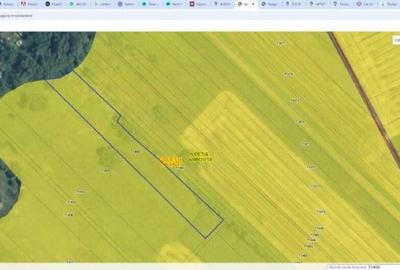 Teren Costestii din Vale, ID: R2582235 - 15