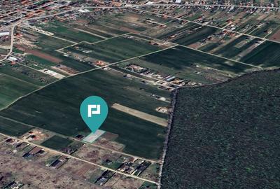 Teren intravilan 1500mp, Snagov-Ghermănești - 4
