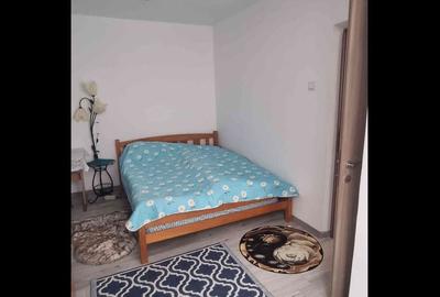 Apartament cu 2 camere semidecomandat în Salca - 1
