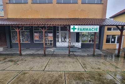 Spațiu comercial, de 110 mp, în Seleuș - 2