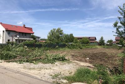 Ostratu Corbeanca - 2