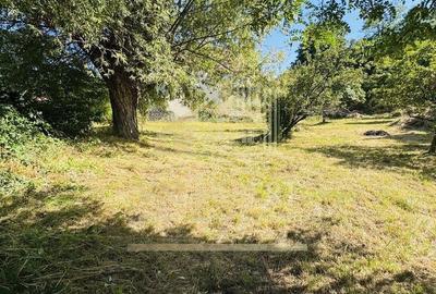 TEREN INTRAVILAN 3234 MP LERE?TI VOINE?TI ARGE? - 1