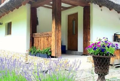 Casa traditionala de vis, aproape de Cluj-Napoca - 21