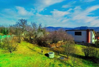 Casă individuală cu 8 camere cu Canalizare în Vest - 23