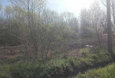 Casă cu 3 camere cu Teren 7300 Mp în Băleasa - 4