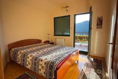 Cabana - Casa de vacanta situata in Muntele Rece! - 23