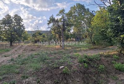 Teren spectaculos cu padure, livada si priveliste panoramica in Soimari PH - 3