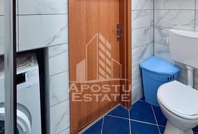 Apartament cu 2 camere în Șega - 14
