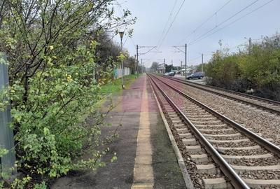 Branesti / IF - casa batraneasca din caramida cu teren de vanzare - 46