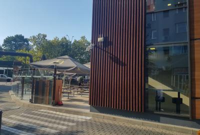Inchiriere garsoniera metrou Dristor, etaj intermediar, 270 euro - 16
