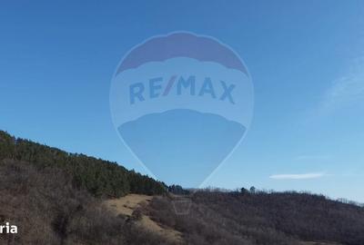 Teren de 48428 mp, în Vințu de Jos