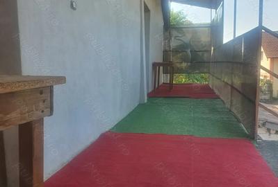 Sp comercial 300 mp+curte,gradina parcare terasa balcon,str principala - 5