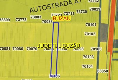 Teren de 11900 mp, în Est - 1