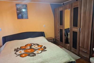 Casă cu 4 camere cu Teren 5456 Mp în Nădlac - 4