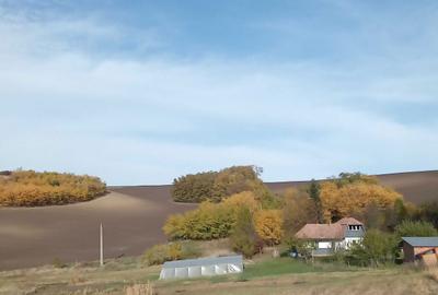Casă cu 3 camere în Miheșu de Câmpie - 7