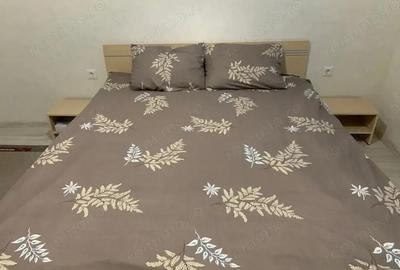 Oferim spre inchiriere garsoniera in zona Buziasului - 2