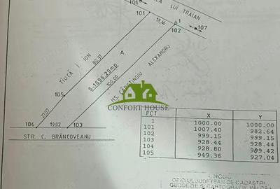 Teren intravilan Calimanesti-Seaca cu acces la DN latime 19ml - 9