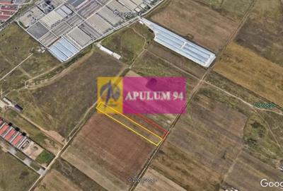 Teren de 7500 mp, în Dobroești - 3