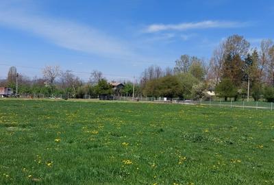 Teren Campina varful Muscel - 9