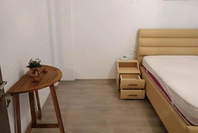 Apartament cu 2 camere decomandat în Valea Lupului - 6