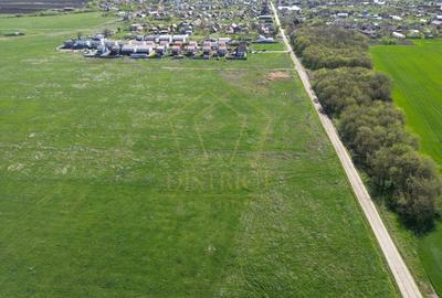 Teren Construcții intravilan de 1490 mp, în Covaci - 4