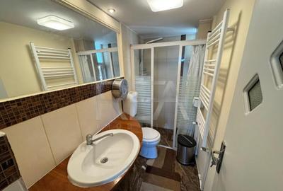 Studio | Gata de mutat | Terasa + Intimitate totala - 3